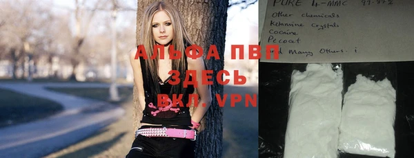 гашик Мегион
