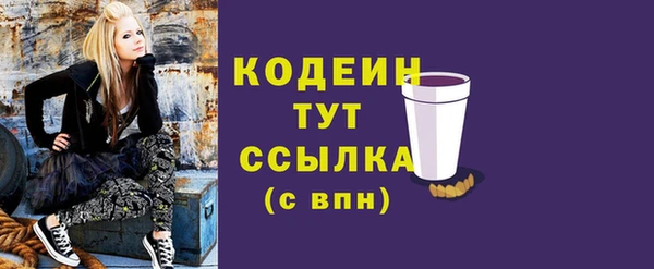 гашик Мегион