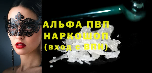 гашик Мегион