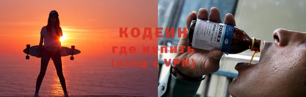 гашик Мегион