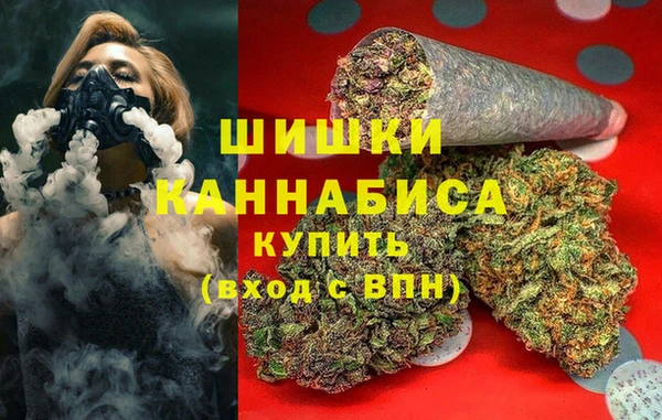 гашик Мегион