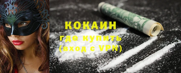гашик Мегион