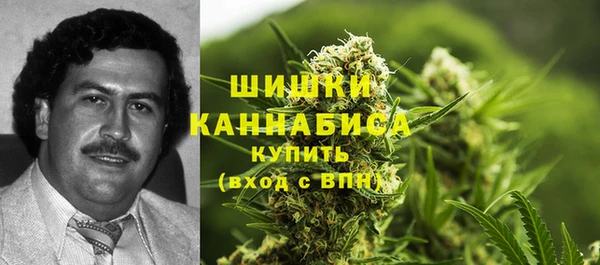 гашик Мегион