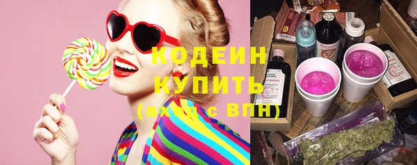 гашик Мегион