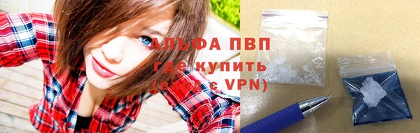 гашик Мегион