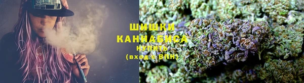 гашик Мегион