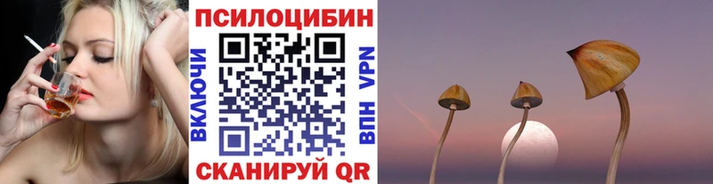 Галлюциногенные грибы мицелий  магазин продажи   Омск 
